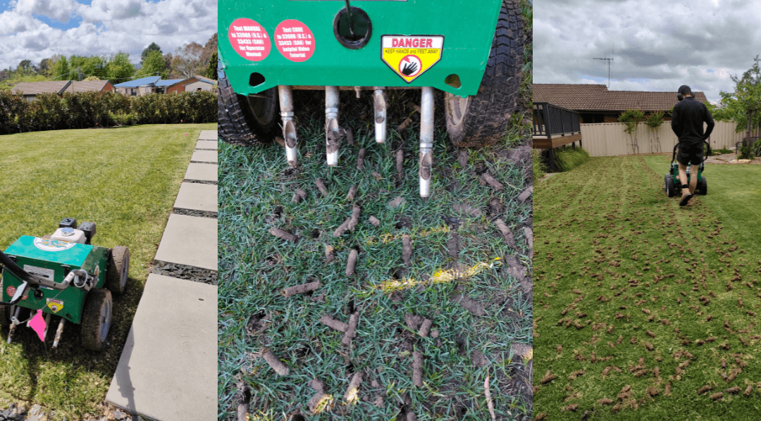 Why Aeration is Important for Your Lawn