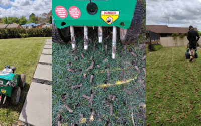 Why Aeration is Important for Your Lawn