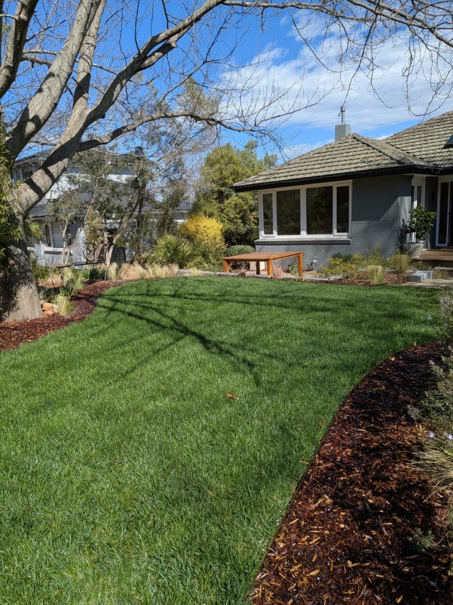 turf-laying-in-front-yard